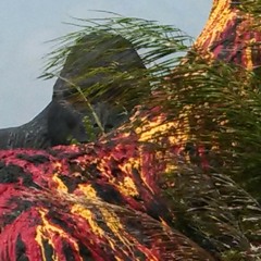 Teen Vomit-Your Sister Looks Like an Ape