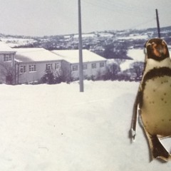 All That Really Matters