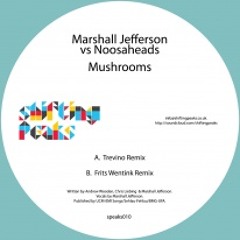 Marshall Jefferson vs Noosaheads - Mushrooms (Frits Wentink)