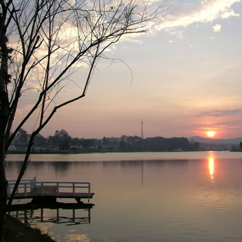 Đà Lạt Hoàng Hôn - Cẩm Ly