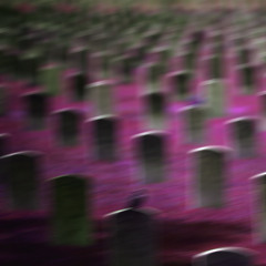 Lucifear - Never Been Sorry [Prod. Lucifear][Slowed & Throwed by Trill Shox]