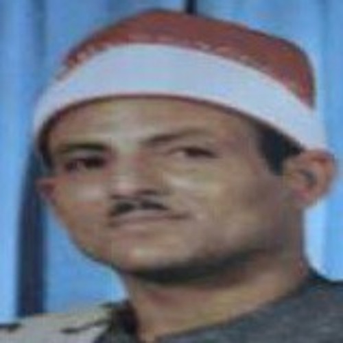 الشيخ احمد مجاهد القاضى العربى