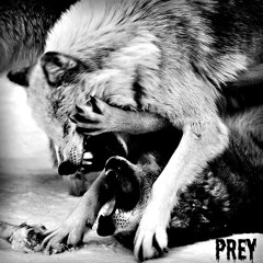 PREY by FVCKDIVMONDS
