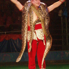 Snake Man Final - Snake man theme.