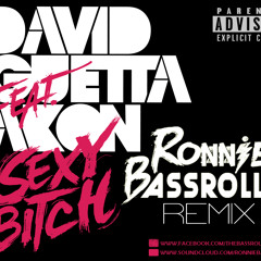 SEXY BITCH VS DONT YOU WORRY CHILD ( RONNIE BASSROLLER REMIX )