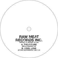 Bootleg - The Future (Melon Rework)