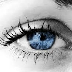 See What I See (DEMO)