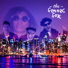 Beastie Boys feat. Santogold - Dont Play No Games That I Can't Win (The Fennec Fox Remix)