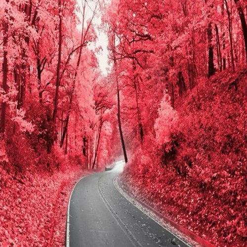 Tu husn ki devi hai (Mehdi Hassan).mp3