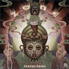 Afrobuddha - Zone(Drum Mix) [RIM009] Side B Clip