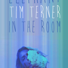 Tim Terner - Elephant In The Room