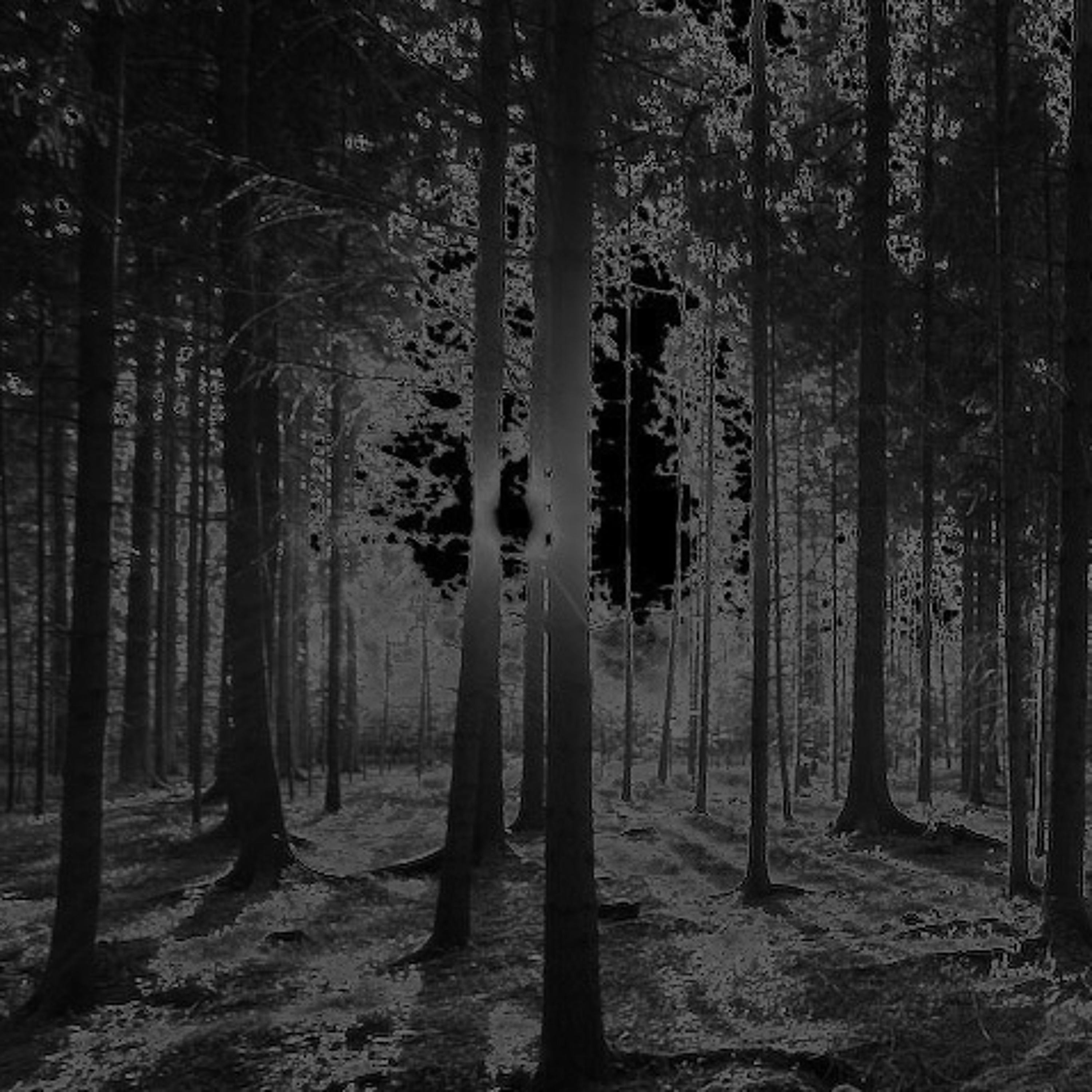 Nevertheless - A Forest episode artwork