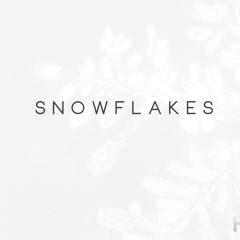 Snowflakes (Original Mix) Featured on Diplo's BBC 1Xtra