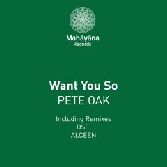 Pete Oak - Want You So (Alceen Remix)