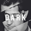 THROUGH THE DARK | One Direction Acapella Cover
