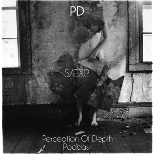 Perception of Depth 002 - S/EXP