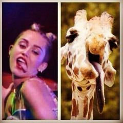 She Wants 2 Move...hove!!! (1)