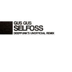 Gus Gus - Selfoss (Deepfunk's Unofficial Remix)