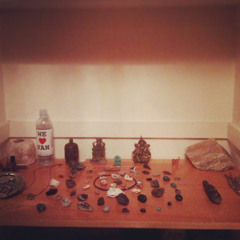 New Evolutionary Paradigm (Prod, WhiteBear)