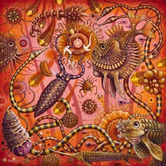 Ubaldo - Dm Improvisation (Wav)