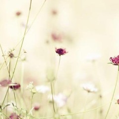 يا عشاق الأرض هلموا - أحمد قعبور