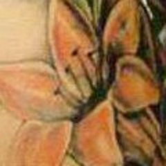 Migos fly with the fish