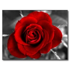 El amor de ayer  weyken ft G-mart