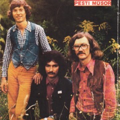 Nem kérdem én (Tolcsvay Béla-Czipó Tíbor)