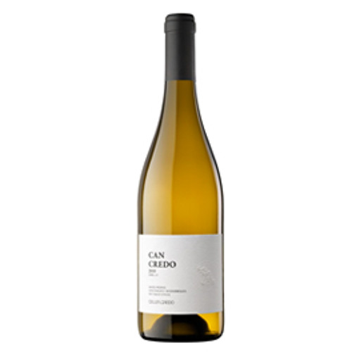 TS#01 · Javier Navarrete - "Can Credo"