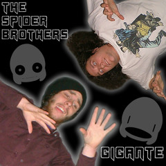 The Spider Brothers