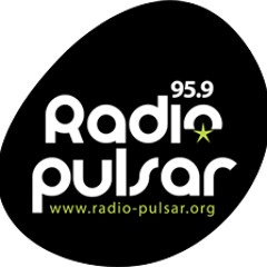 podcast.radio Pulsar Epluchons l'union 14 janvier