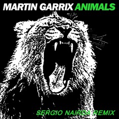 Martin Garrix - Animals (Sergio Nairda Dubstep Remix)
