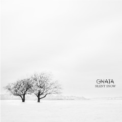 GNAÏA _  Silent Snow (feat Sham Oozey) extract