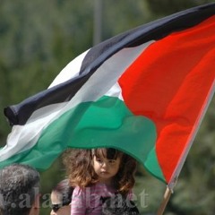 وين العرب جديد  _ ميس شلش