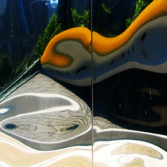 Distortion