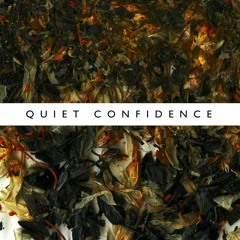 Quiet Confidence / Pure Utopian Moment