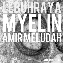 Amir Meludah - Lebuhraya Myelin (VMPRMYTH Edit)