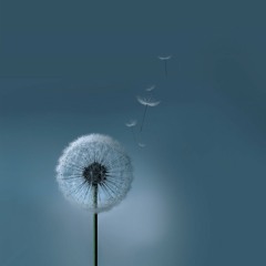 Dandelion II