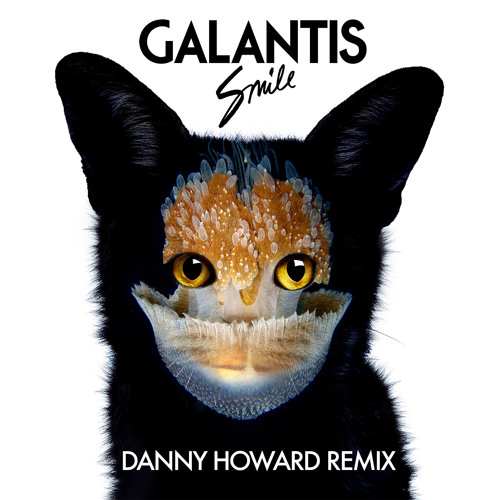 Galantis - Smile (Danny Howard Remix)