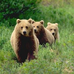 New Indie Songs of 2014 - Best of Week 3