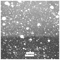 Mangetout - Between Sleep