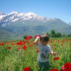 Necmedîn Xulamî