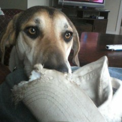 Cypher 2, Dj Preimer