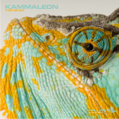 Kammaleon mixed by Rob Loren / Play Electrik Club >