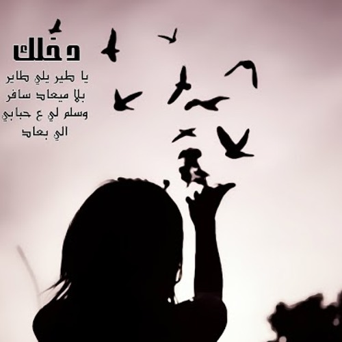 Listen to دخلك يا طير - أحمد خالد by Mohammad M. Abu Safya in songs  playlist online for free on SoundCloud
