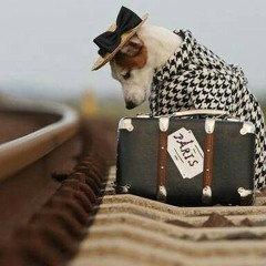 让她走 at Kedah Music Academy