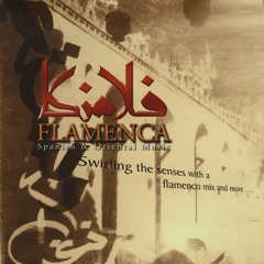 Cairo composed by wael khedr performed by flamenca cairo at Saqia culture center
