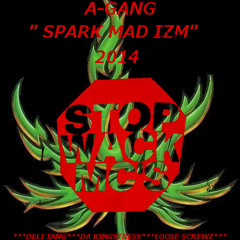 SPARK MAD IZM 2014