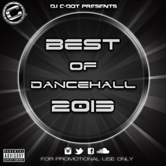 DJ C-DOT PRESENTS - BEST OF 2013 DANCEHALL [WWW.DJCDOT.COM]