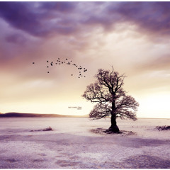 Imagen †he Sun